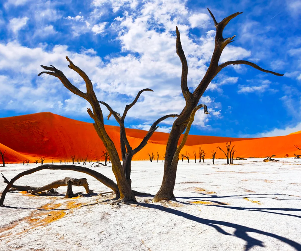 voyage-organise-Namibie2_0.97254000-1737649253.webp